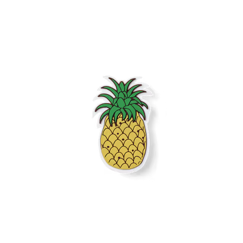 Bogg Bit  - Pineapple